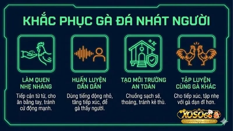 cach-khac-phuc-ga-bi-nhat-nguoi-hieu-qua-cho-su-ke