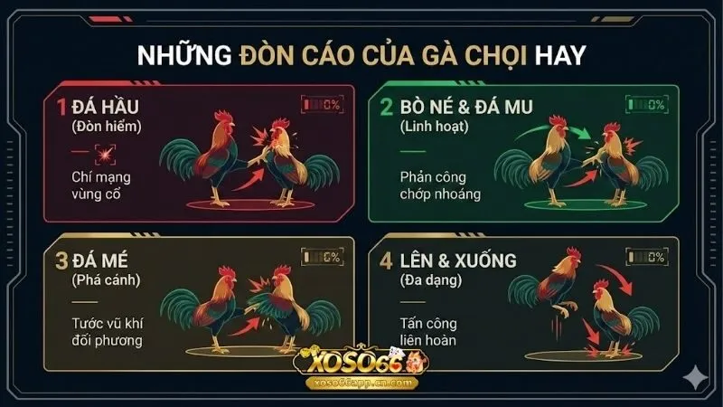 nhung-don-cao-cua-ga-choi-hay-va-bi-kip-ha-guc-doi-phuong
